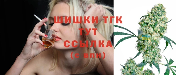 прущий лед Богородицк