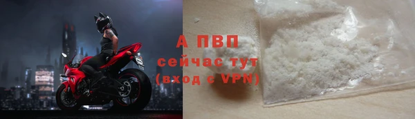 сатива Богородск