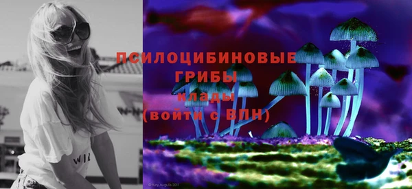 прущий лед Богородицк